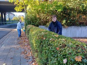 Impressionen Arbeitseinsatz 18.10.2025