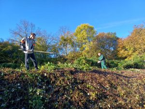 Impressionen Arbeitseinsatz 18.10.2025