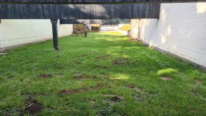 Impressionen Arbeitseinsatz 18.10.2025