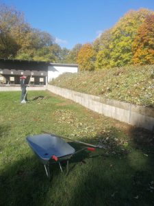 Impressionen Arbeitseinsatz 18.10.2025