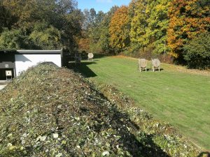 Impressionen Arbeitseinsatz 18.10.2025
