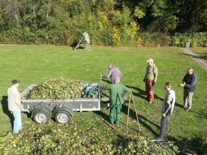 Impressionen Arbeitseinsatz 18.10.2025