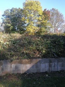 Impressionen Arbeitseinsatz 18.10.2025